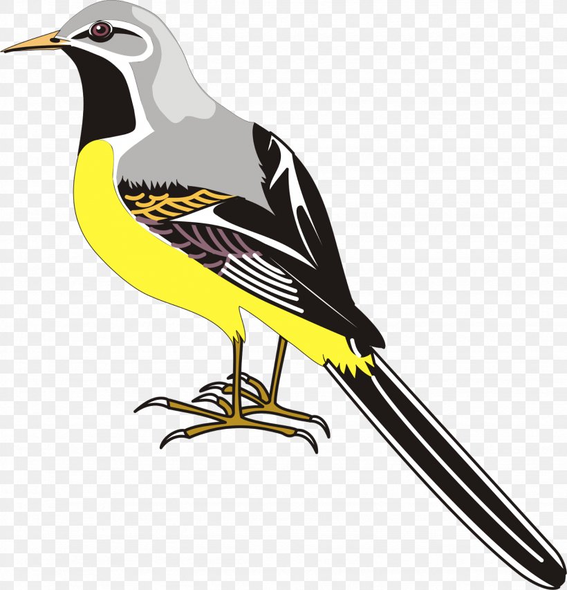 Bird Flight Drawing Clip Art, PNG, 1537x1600px, Bird, Beak, Bird Flight, Drawing, Fauna Download Free