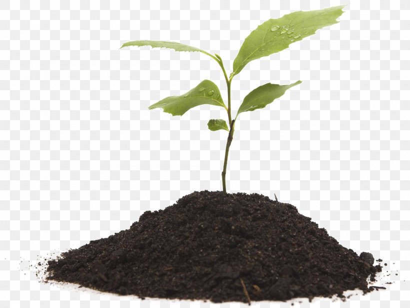 Compost Plants Fertilisers Potting Soil, PNG, 2000x1502px, Compost, Agriculture, Container Garden, Fertilisers, Horticulture Download Free