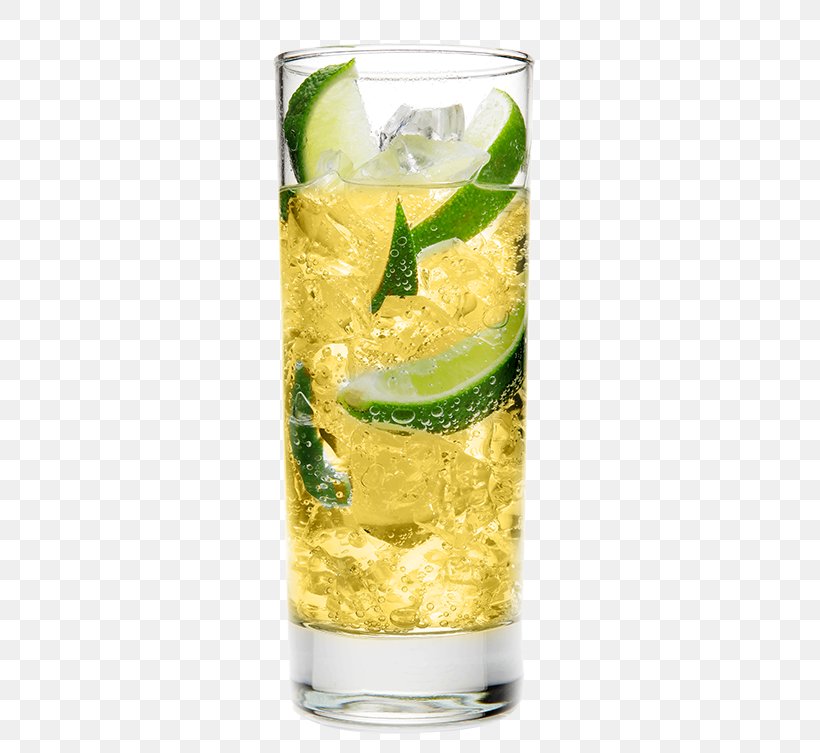 Rickey Highball Mojito Lemonade Vodka Tonic, PNG, 400x753px, Rickey, Cocktail, Cocktail Garnish, Drink, Garnish Download Free