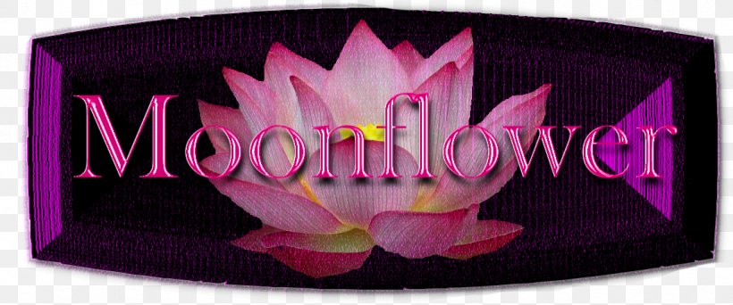 Brand Font Pink M, PNG, 1143x478px, Brand, Flower, Magenta, Petal, Pink Download Free