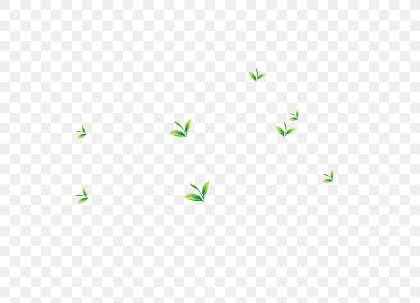 Download, PNG, 591x591px, Google Images, Green, Herbaceous Plant, Lawn, Point Download Free