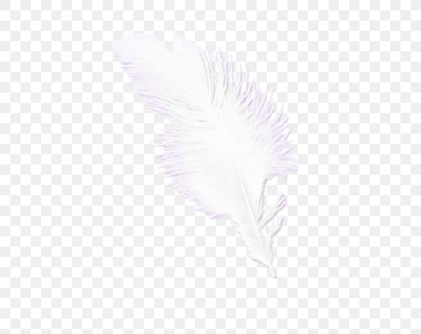 Feather Pattern, PNG, 650x650px, Feather, Bird, Purple, White, Wing Download Free