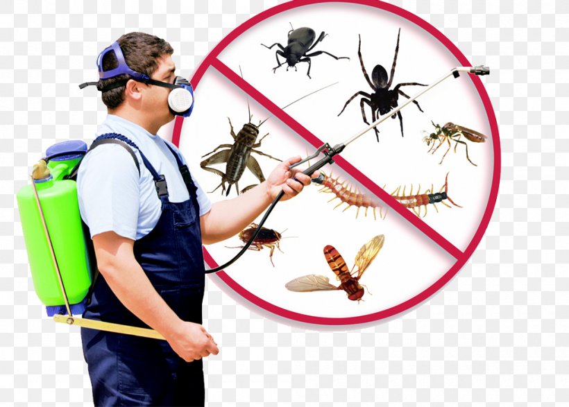Mosquito Cockroach Pest Control Fumigation, PNG, 1000x716px, Mosquito, Archery, Bed Bug, Cockroach, Electronic Pest Control Download Free