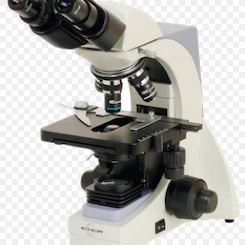 Optical Microscope Dark-field Microscopy Optics Bright-field Microscopy, PNG, 1024x1024px, Optical Microscope, Binoculars, Brightfield Microscopy, Darkfield Microscopy, Fluorescence Microscope Download Free