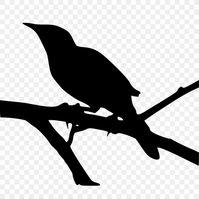 To Kill A Mockingbird Northern Mockingbird Clip Art, PNG, 1000x1000px, Mockingbird, Beak, Bird, Black And White, Branch Download Free