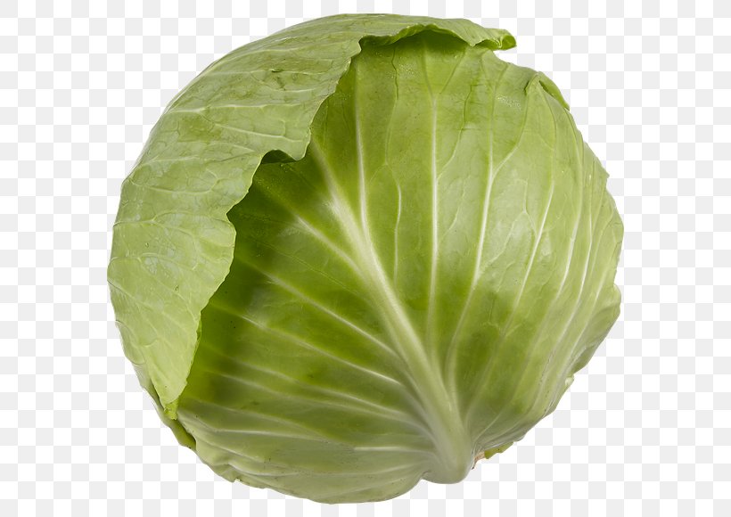 Romaine Lettuce Savoy Cabbage Collard Greens Spring Greens Capitata Group, PNG, 580x580px, Romaine Lettuce, Brassica Oleracea, Broccoli, Brussels Sprout, Cabbage Download Free