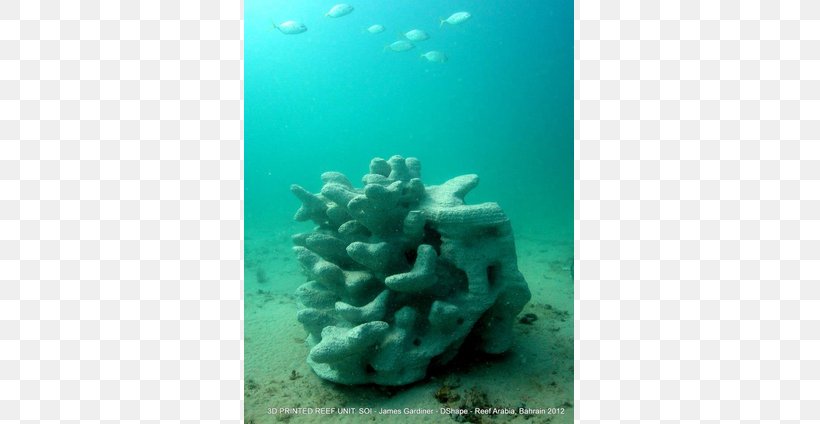 Coral Reef Stony Corals 3D Printing, PNG, 615x424px, 3d Computer Graphics, 3d Printing, Coral Reef, Aqua, Coral Download Free
