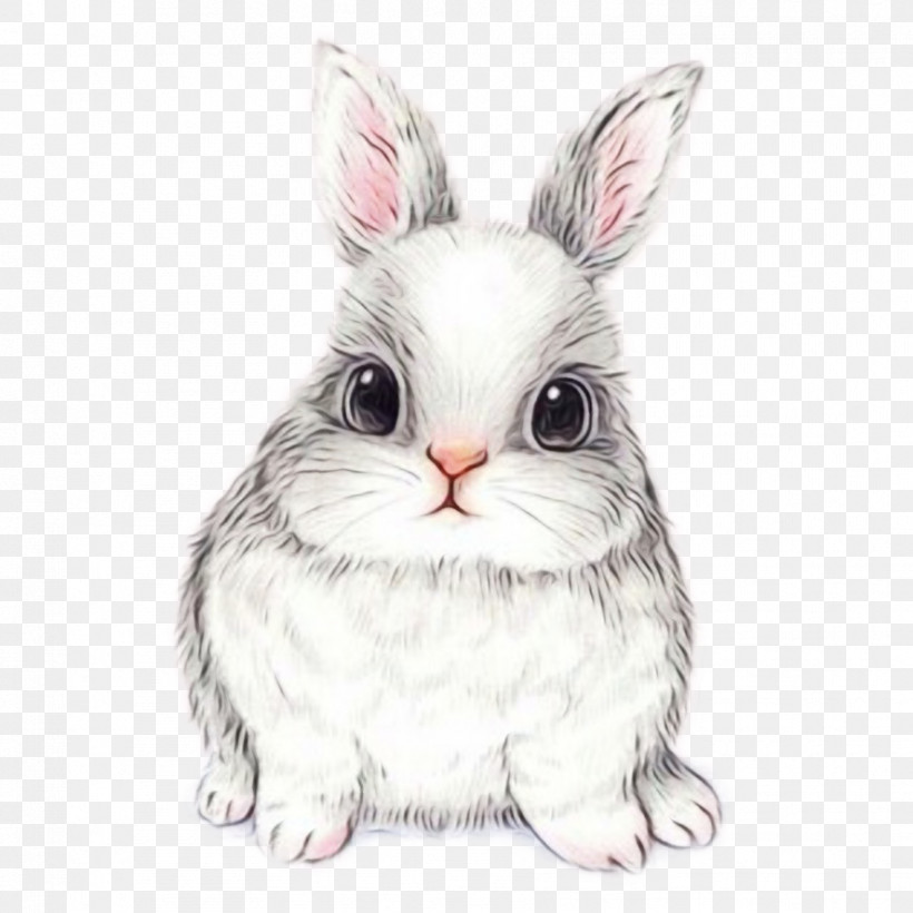 Easter Bunny, PNG, 888x888px, Watercolor, Easter Bunny, Fur, Paint, Rabbit Download Free