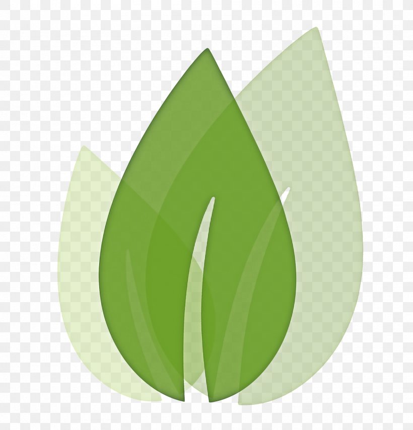 Green Leaf Logo, PNG, 1765x1840px, Green, Flower, Fruit, Grass, Leaf Download Free
