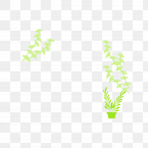 Leaf Plant Stem Tree Green Flora PNG
