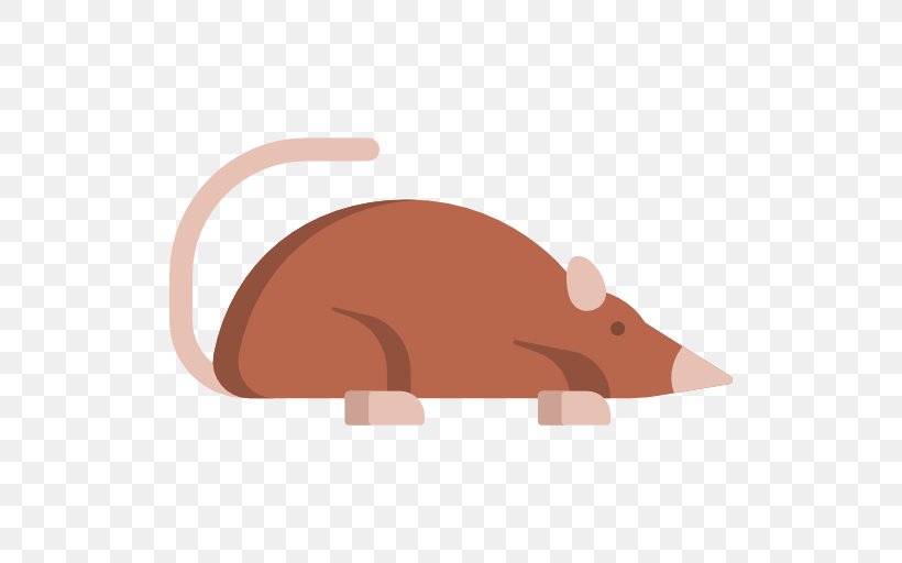 Rat, PNG, 512x512px, Rat, Animal, Carnivoran, Carnivores, Computer Mouse Download Free