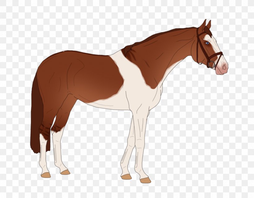 Stallion Mare Foal Colt Mane, PNG, 900x701px, Stallion, Animal Figure, Bridle, Colt, Foal Download Free