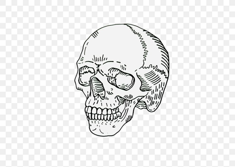 Drawing Human Skull Symbolism Calavera Art, PNG, 500x583px, Drawing, Art, Black And White, Bone, Calavera Download Free