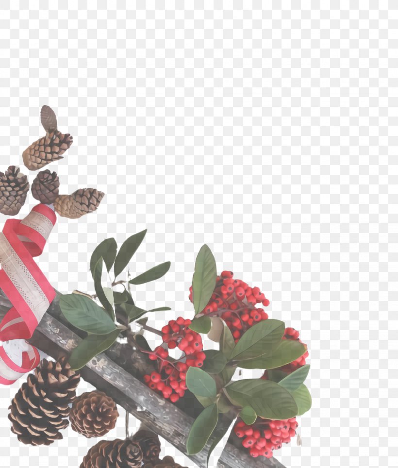 Flower Plant Branch Leaf Tree, PNG, 1844x2168px, Flower, Anthurium, Branch, Cut Flowers, Houseplant Download Free