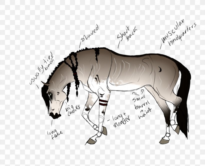 Mule Mustang Stallion Mane Halter, PNG, 992x806px, Mule, Bridle, Cartoon, Colt, Donkey Download Free