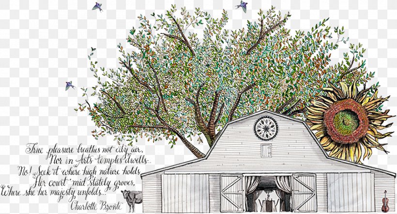Sweet Meadow Farm And HomePlace Cattle Beech Creek Road Wedding, PNG, 900x486px, Cattle, Barn, Branch, Dairy, Dairy Farming Download Free