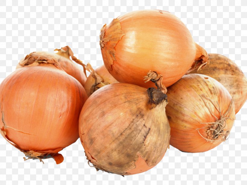 Yellow Onion White Onion Shallot Hachis Parmentier, PNG, 1024x768px, Yellow Onion, Calabaza, Food, Garlic, Hachis Parmentier Download Free