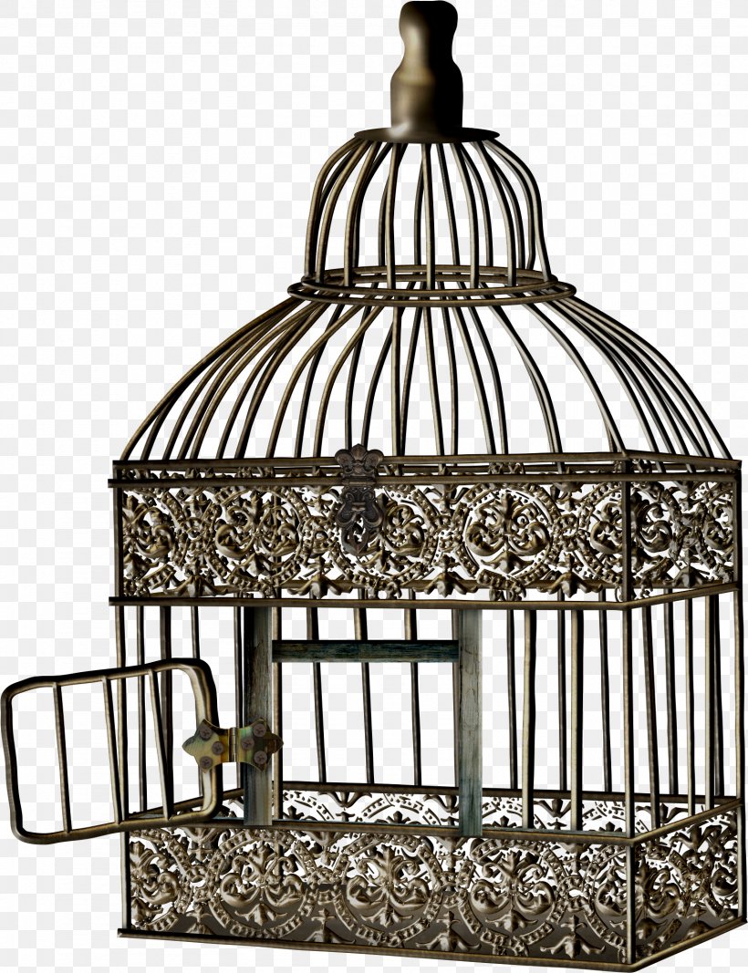 Bird Cage Cell Clip Art, PNG, 1564x2037px, Bird, Albom, Animation, Birdcage, Cage Download Free