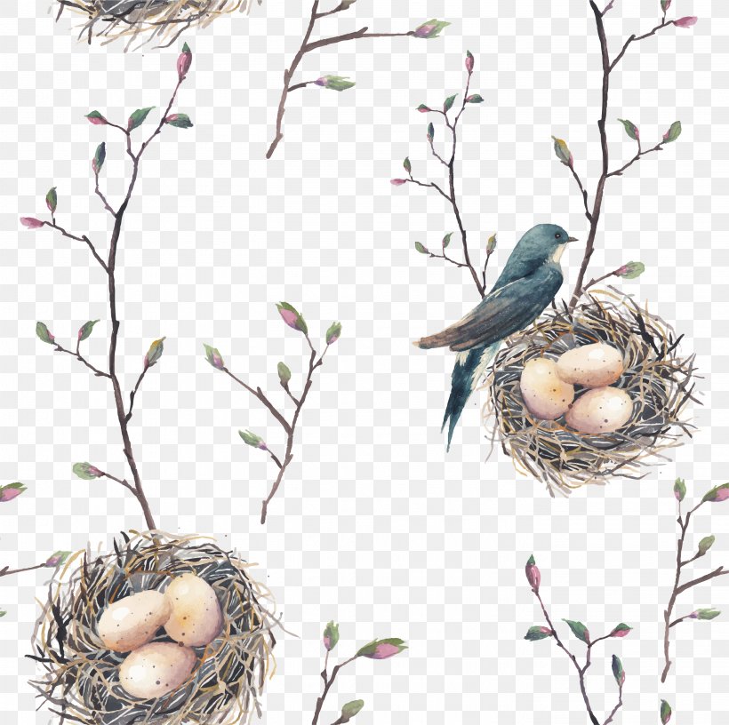 Bird Nest Swallow Tree Pattern, PNG, 2833x2822px, Bird, Bird Egg, Bird Flight, Bird Nest, Branch Download Free