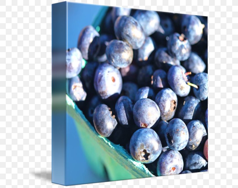 Blueberry Bilberry Huckleberry Food Juniper Berry, PNG, 629x650px, Blueberry, Art, Berry, Bilberry, Canvas Download Free