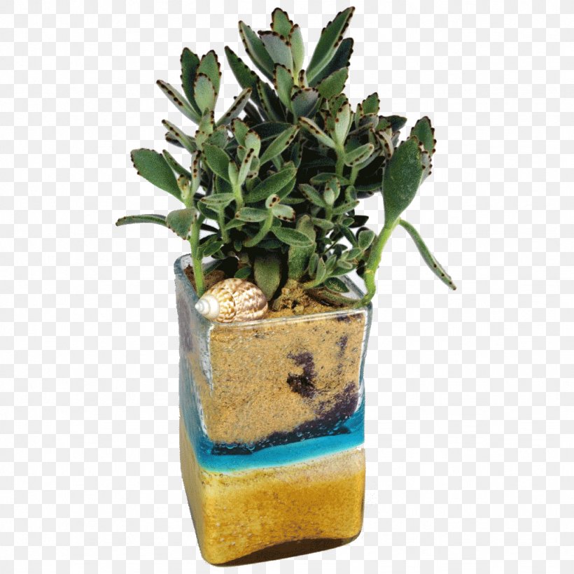 Flowerpot Succulent Plant Garden Floristry, PNG, 1024x1024px, Flowerpot, Boat Orchid, Floristry, Flower, Flowering Plant Download Free