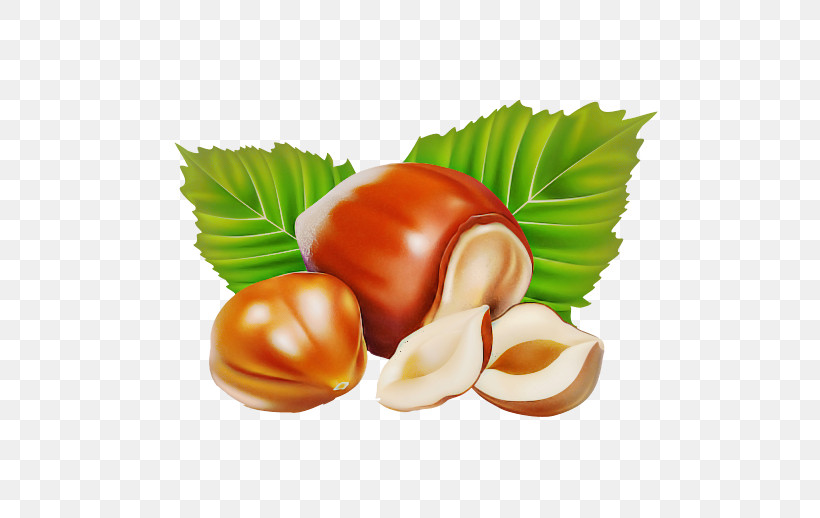 Hazelnut Chestnut Food Nut Nuts & Seeds, PNG, 518x518px, Hazelnut, Chestnut, Cuisine, Food, Ingredient Download Free