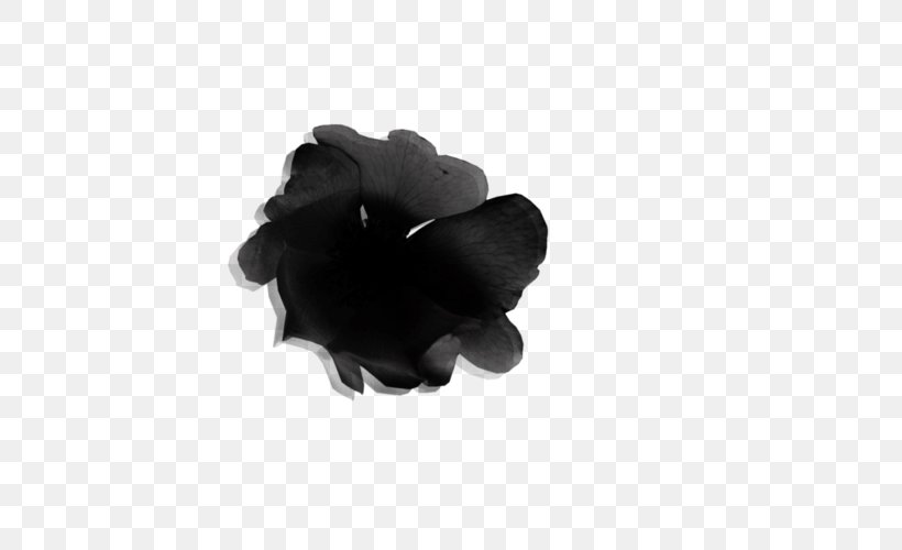 Clip Art, PNG, 500x500px, Mask, Black, Black And White, Black M, Petal Download Free