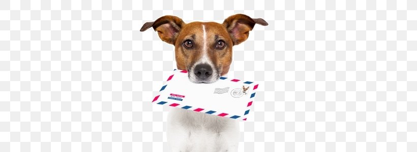 Dog Breed Letter Mail 4 Pics 1 Word, PNG, 450x300px, 4 Pics 1 Word, Dog, Advertising Mail, Collar, Companion Dog Download Free