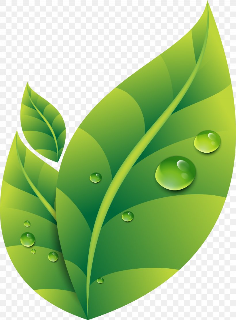 Green, PNG, 3225x4364px, Green, Art, Color, Drawing, Drop Download Free