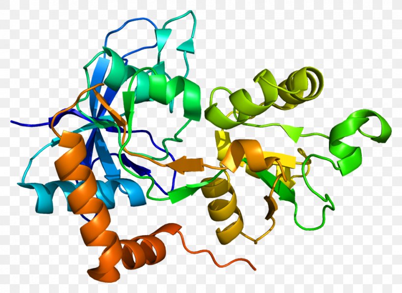 GRIN2A NMDA Receptor N-Methyl-D-aspartic Acid Gene GRIN1, PNG, 979x715px, Nmda Receptor, Antibody, Area, Artwork, Gene Download Free