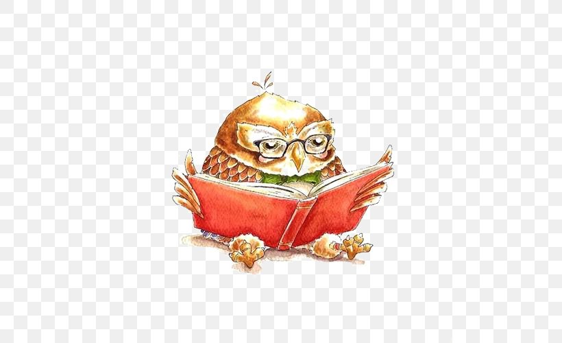 Little Owl Drawing, PNG, 500x500px, Owl, Animation, Bird, Bird Of Prey, Book Download Free