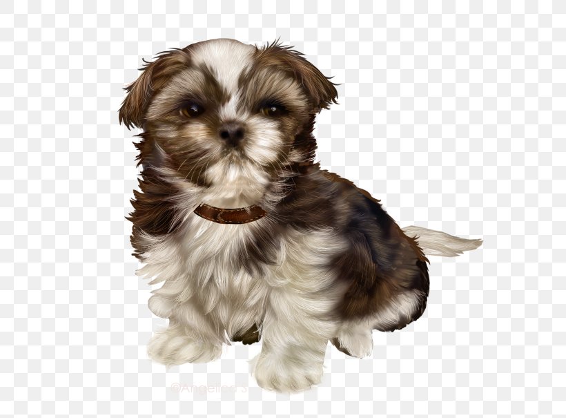 Morkie Puppy Schnoodle Little Lion Dog Shih Tzu, PNG, 606x605px, Morkie, Biewer Terrier, Breed Group Dog, Carnivoran, Chinese Imperial Dog Download Free