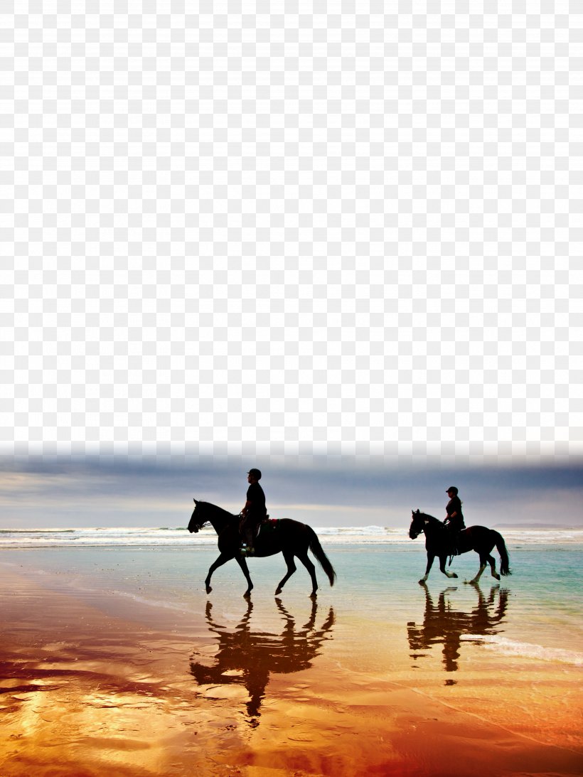 Poster Advertising, PNG, 3543x4724px, Poster, Advertising, Equestrianism, Gratis, Horse Download Free