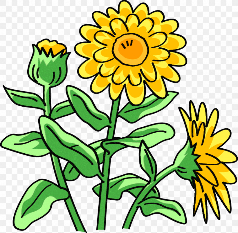 Dandelion, PNG, 864x848px, Dandelion, Common Sunflower, Cut Flowers, Floral Design, Flower Download Free