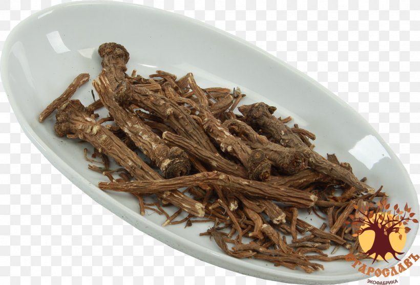 Dianhong Golden Monkey Tea Nilgiri Tea Tsukudani, PNG, 1024x696px, 2019 Audi Q7, Dianhong, Animal Source Foods, Audi Q7, Bai Mudan Download Free