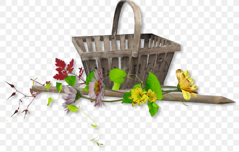 Flowerpot, PNG, 800x522px, Flower, Flowerpot, Plant Download Free