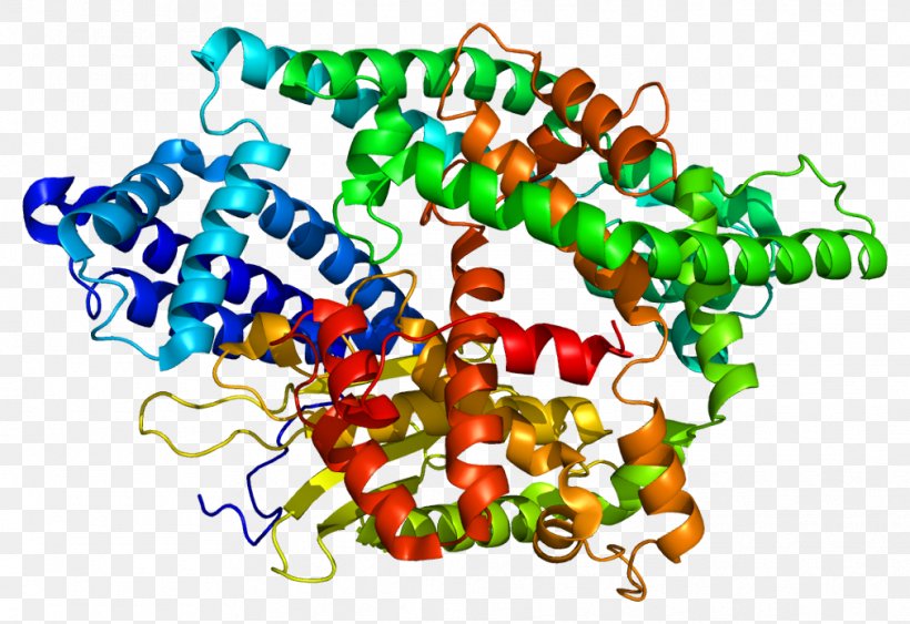 Gene Wiki Protein Wikipedia NLN, PNG, 1011x695px, Gene Wiki, Art, Bead, Body Jewelry, Chromosome Download Free