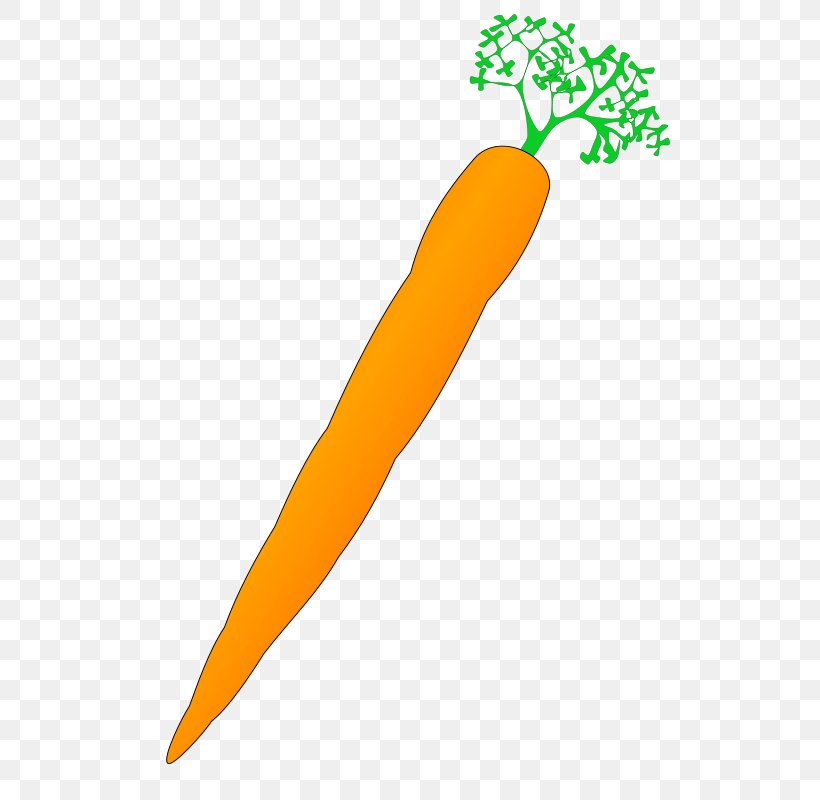 Margarita Baby Carrot Clip Art, PNG, 566x800px, Margarita, Baby Carrot, Carrot, Celery, Food Download Free