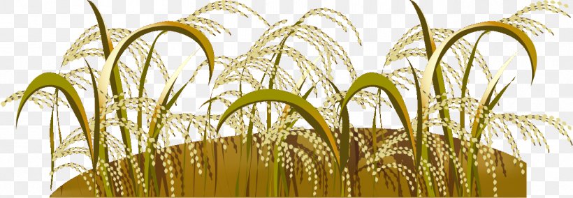 Rye Emmer Grasses Crop Scarecrow, PNG, 1294x449px, Rye, Cereal, Commodity, Crop, Emmer Download Free