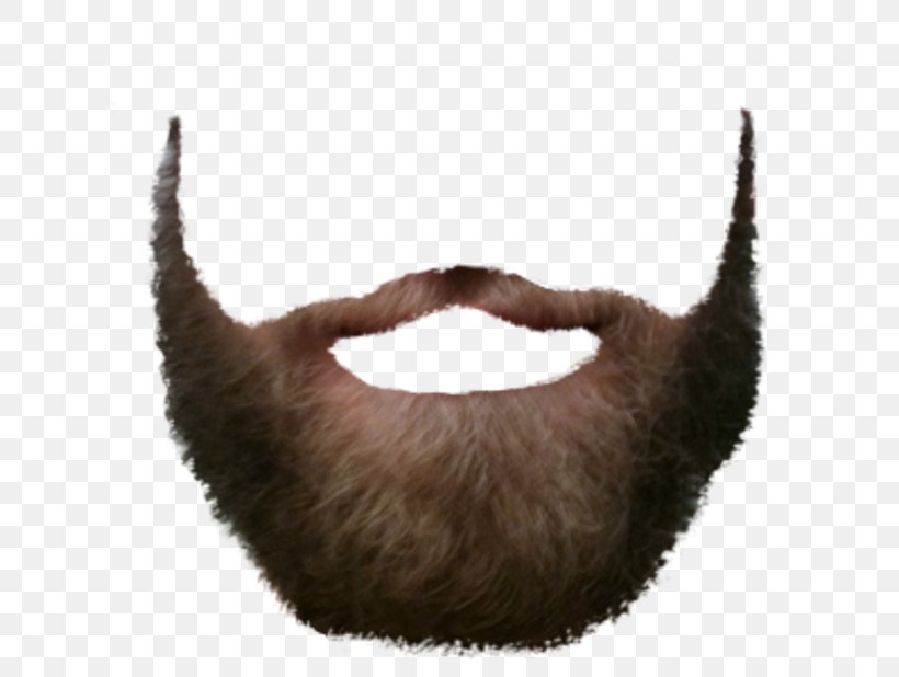 Beard Moustache Image GIF, PNG, 618x618px, Beard, Blackbeard, Brown, Costume, Costume Accessory Download Free