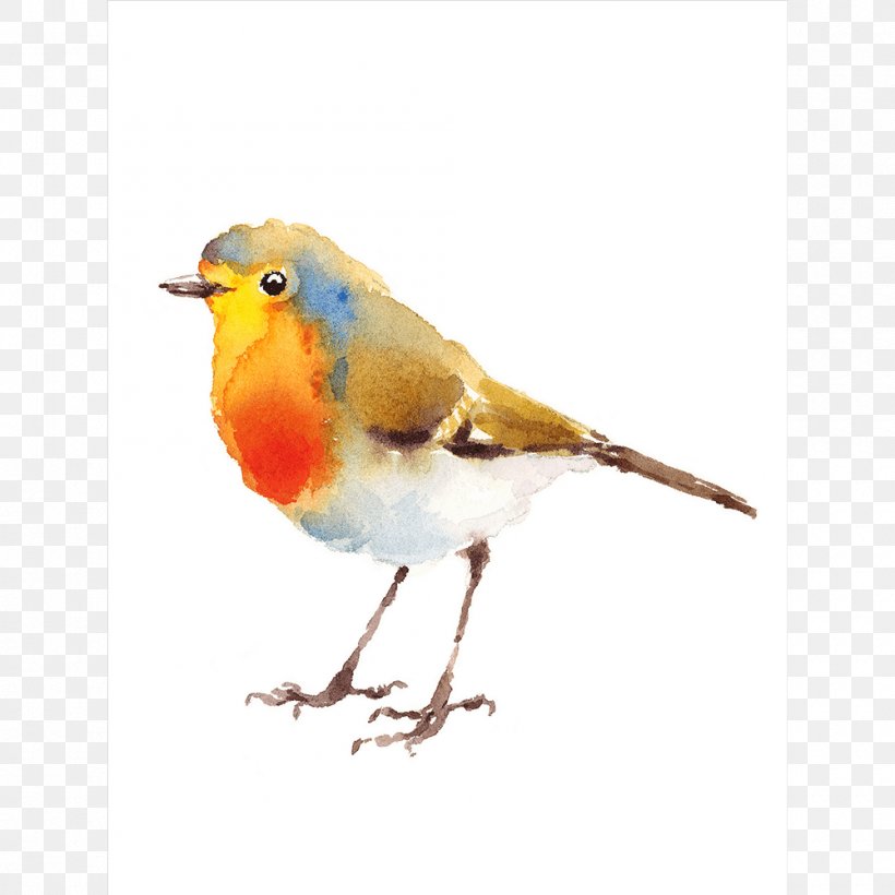 European Robin Watercolor Painting Drawing, PNG, 1000x1000px, European Robin, Art, Beak, Bird, Drawing Download Free