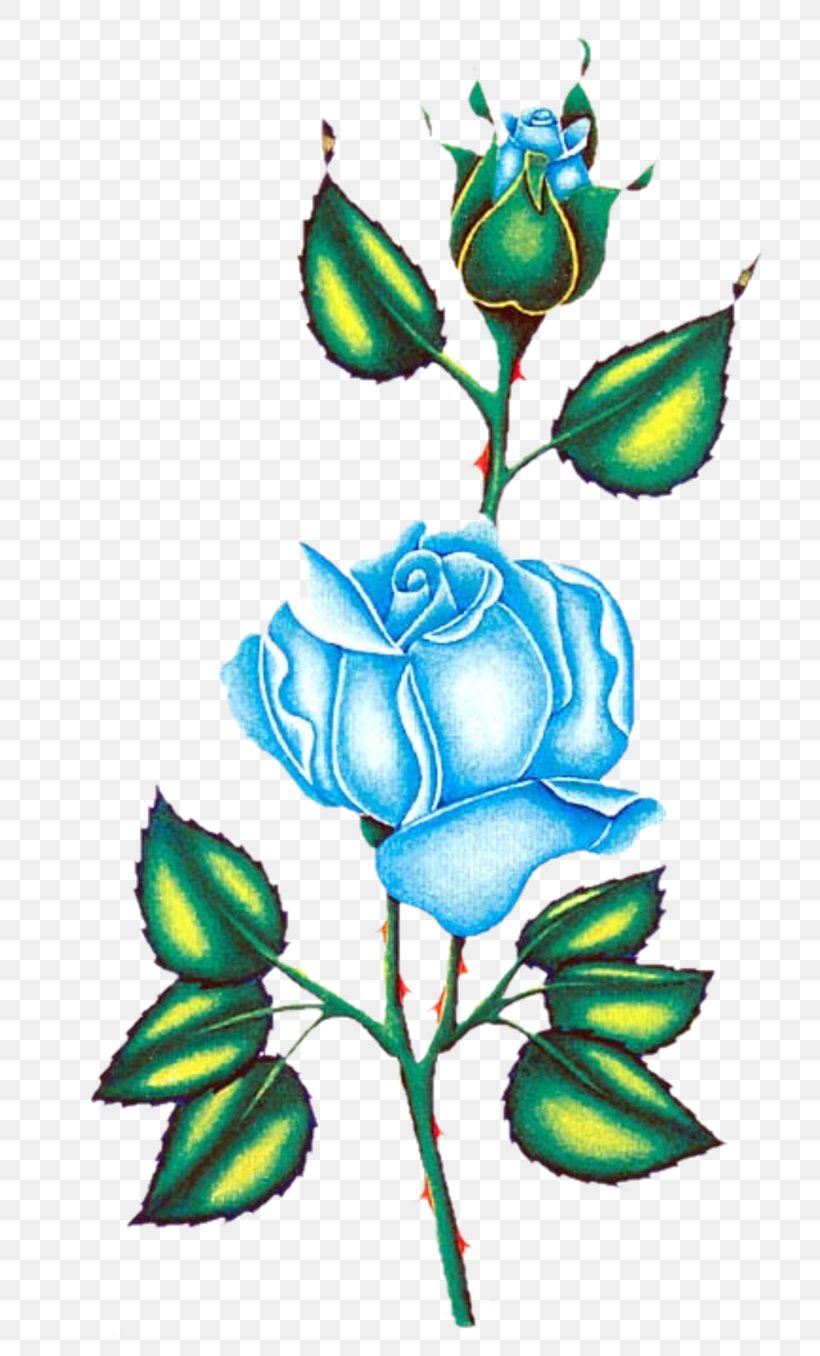 Garden Roses Floral Design Clip Art, PNG, 800x1356px, Garden Roses, Art, Artwork, Cut Flowers, Flora Download Free