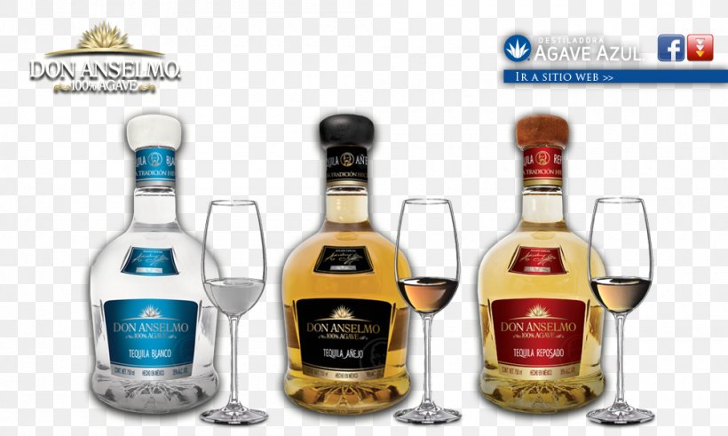 Liqueur Tequila Agave Azul Whiskey Distilled Beverage, PNG, 1000x600px, Liqueur, Agave, Agave Azul, Alcohol, Alcoholic Beverage Download Free