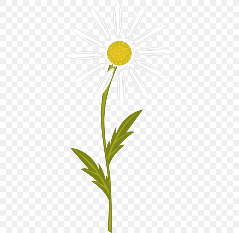 Chamomile Nuvola Clip Art, PNG, 370x800px, Chamomile, Black And White, Chamaemelum Nobile, Daisy, Daisy Family Download Free