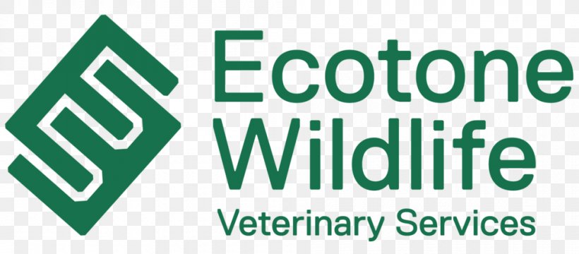 Ecotone Veterinarian Veterinary Medicine Ecology Logo, PNG, 1000x440px, Veterinarian, Area, Brand, Ecology, Green Download Free