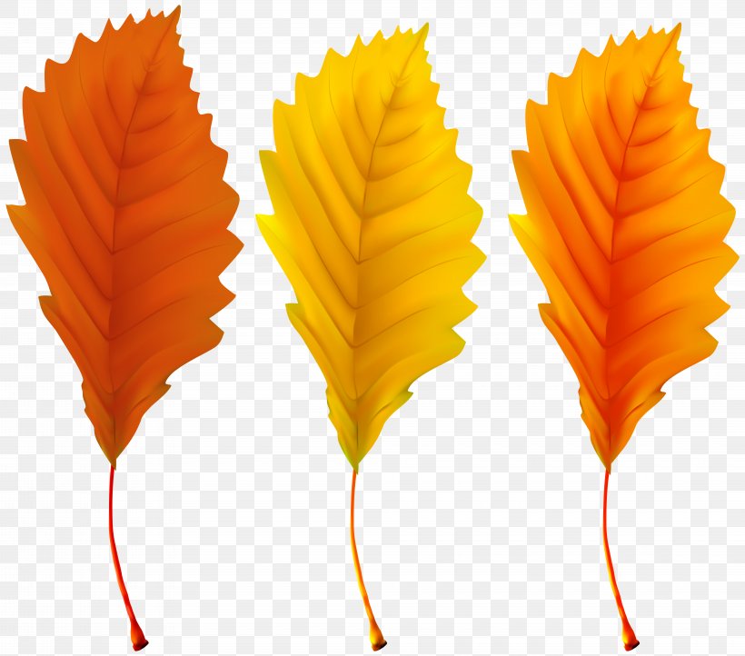 Autumn Leaf Color, PNG, 8000x7047px, Photography, Art, Autumn, Autumn Leaf Color, Leaf Download Free