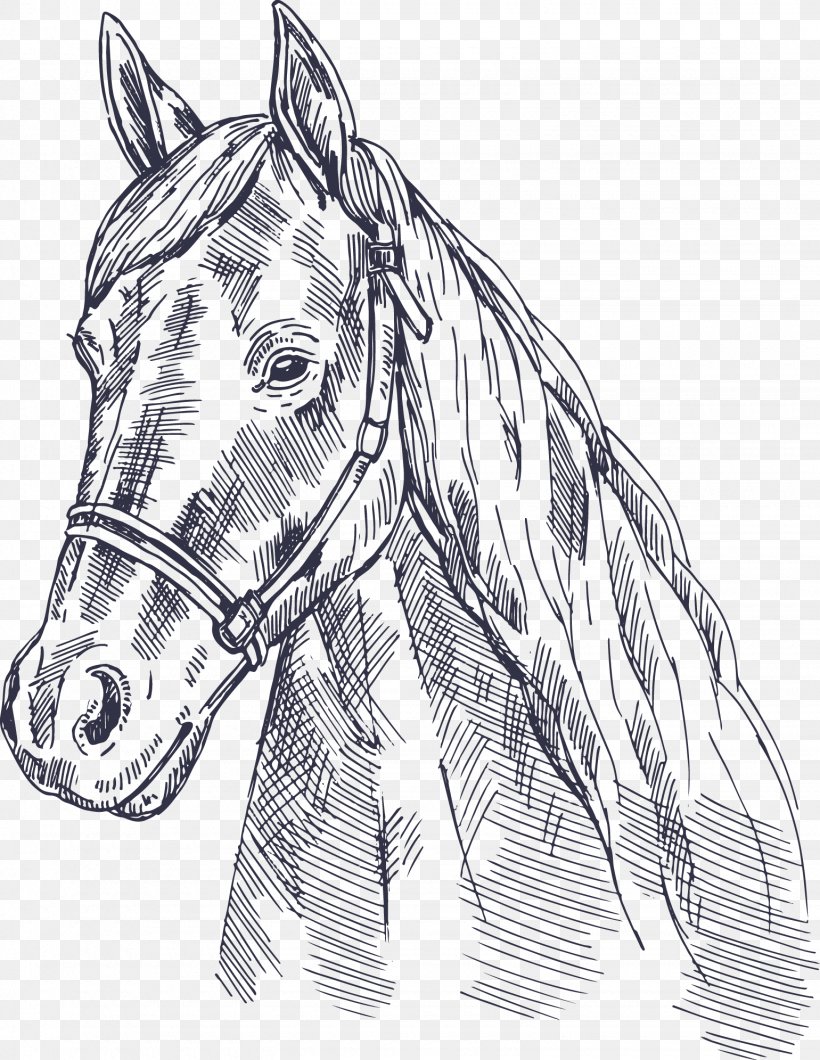 Horse Euclidean Vector, PNG, 1540x1991px, Horse, Black And White, Cartoon, Drawing, Head Download Free
