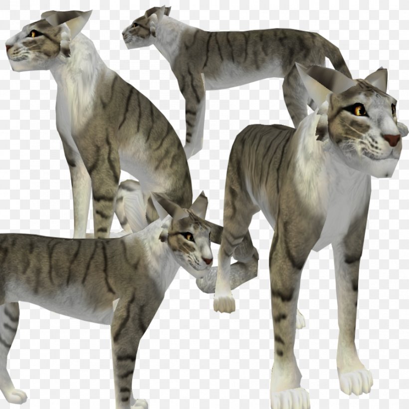 Bengal Cat Feral Cat Exotic Shorthair Havana Brown Paw, PNG, 894x894px, Bengal Cat, Big Cat, Big Cats, Black Wolf, Carnivoran Download Free
