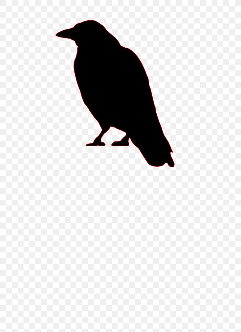 Bird Common Raven Crow Silhouette Clip Art, PNG, 800x1131px, Bird, Art, Beak, Carrion Crow, Common Raven Download Free