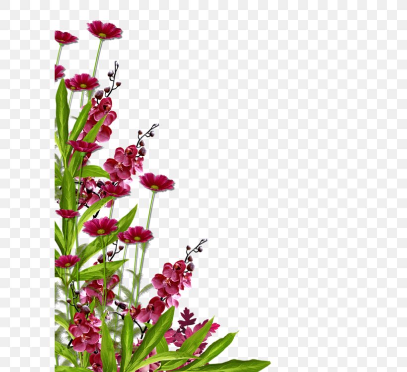Flower Garden Clip Art, PNG, 600x750px, Flower, Annual Plant, Butterfly, Cut Flowers, Drawing Download Free